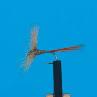 DEVAUX - 841