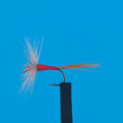 DEVAUX -  931 - BL