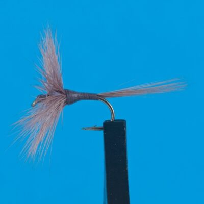 DEVAUX -  981 - BL - CONFEZIONE DA 3 PEZZI