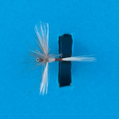 DEVAUX -  246C - BL - PACKAGING 3 PIECES