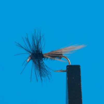 DEVAUX - 428C - BL