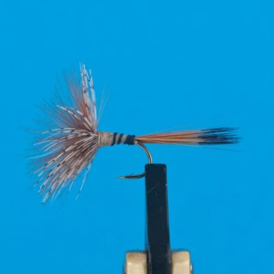 DEVAUX -  699C - BL