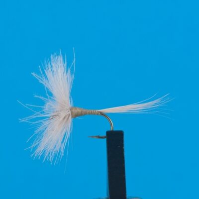 DEVAUX -  824C - BL