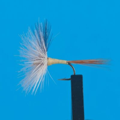 DEVAUX - 837C - BL