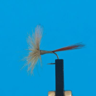 DEVAUX - 841C