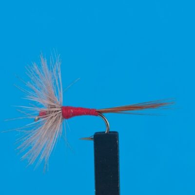 DEVAUX -  931C - BL