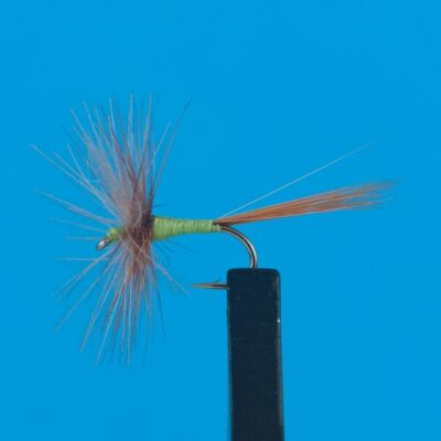DEVAUX -  969C - BL