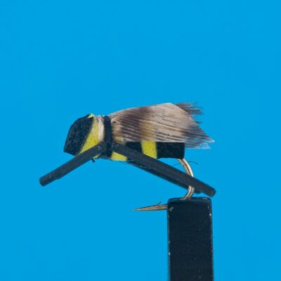 DEVAUX - BEE1 - BL