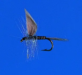 J. PARKER - BLUE QUILL