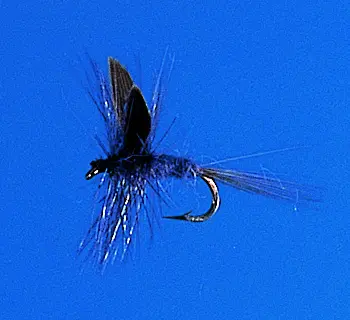 J. PARKER - BLUE DUN