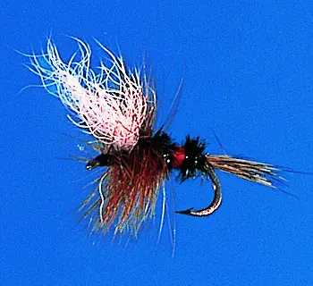 J. PARKER - ROYAL WULFF