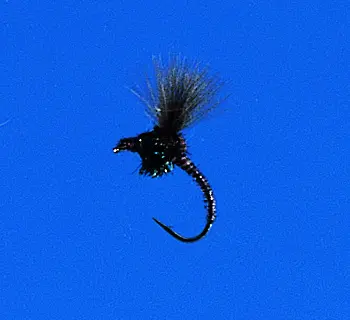 J. PARKER - CDC EMERGER MIDGE
