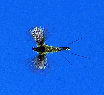 J. PARKER - CDC SPENT OLIVE