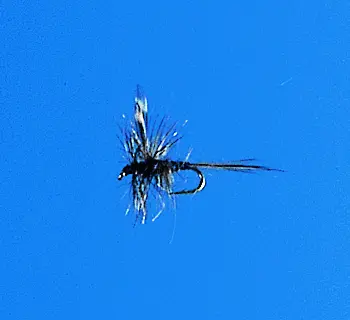 J. PARKER - MIDGE ADAMS