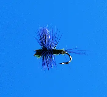 J. PARKER - THORAX B.W.O.