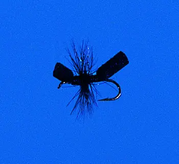 J. PARKER - LETORT CRICKET