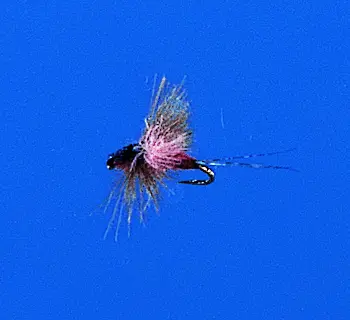 J. PARKER - CDC DELTA CLARET