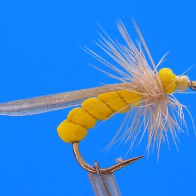 J. PARKER - YELLOW STONE - 008 - PAQUET PIECES 3