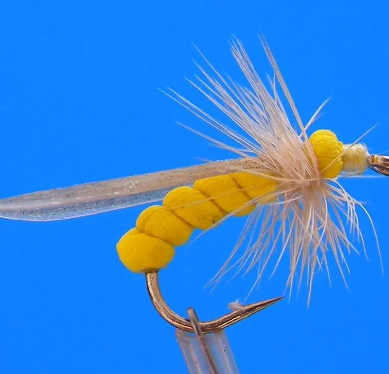 J. PARKER - YELLOW STONE - 008