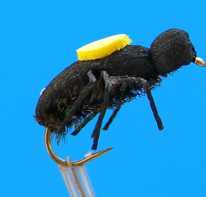 J. PARKER - PEACOCK BEETLE - 009