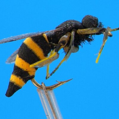 J. PARKER - WASP - 012