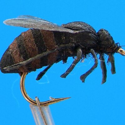 J. PARKER - HONEY BEE
