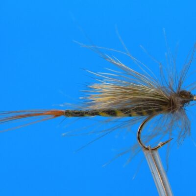 J. PARKER - CDC OLIVE - 019