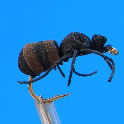 J. PARKER - BROWN ANT - 031