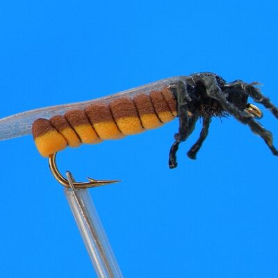 J. PARKER - STONE FLY