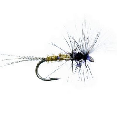 MONTANA FLY -WIKE'S DONATELLO [TSM-T1614]