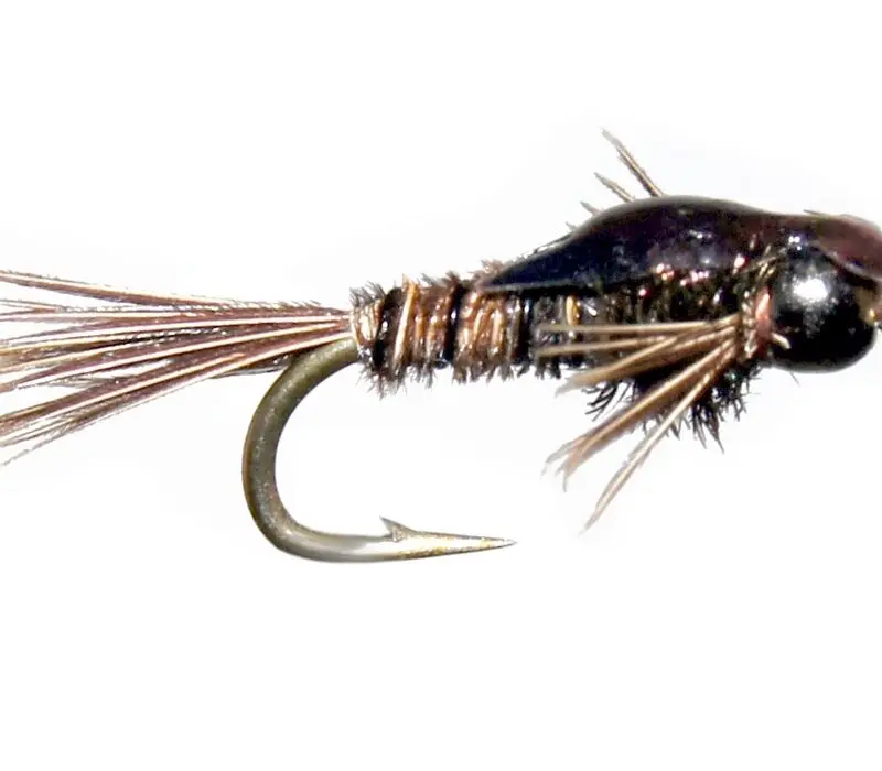 MONTANA FLY - TRINA'S NYMPH BACK - PHEASANT TAIL [TSM-T1620]