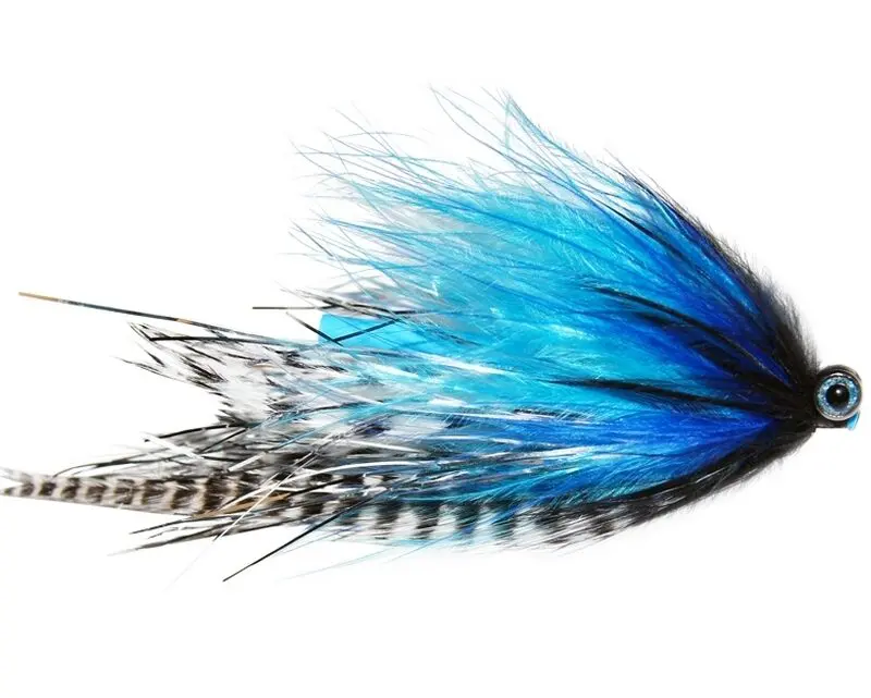 MONTANA FLY - JOHNSON'S LADY GAGA INTRUDER - BLUE/WHITE [TSM-T1645]