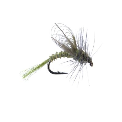 MONTANA FLY - CDC WINGED EMERGER - BWO [TSM-D309]