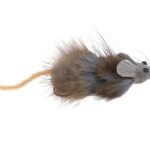 MONTANA FLY - WIGGLE LEMMING [TSM-R1405]