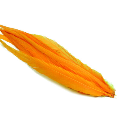 WAPSI - COCK TAILS