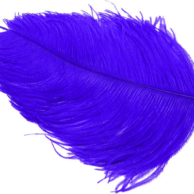 WAPSI - OSTRICH -HERL - OH