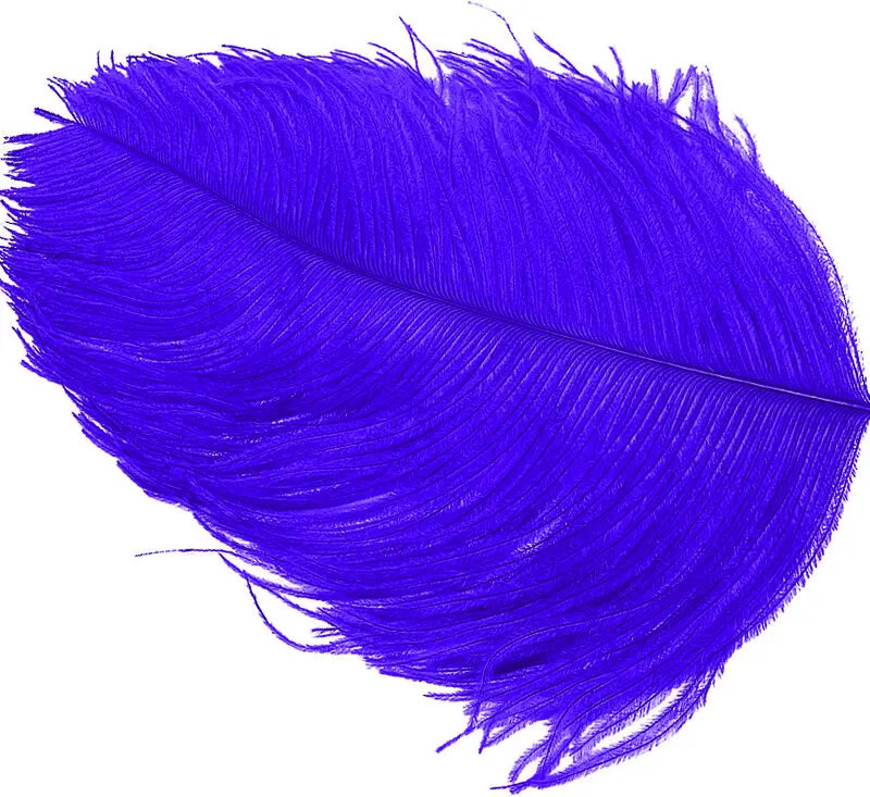 WAPSI - OSTRICH -HERL - OH