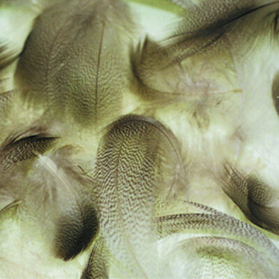 WAPSI - PRIME MIXED WATERFOWL - MBM