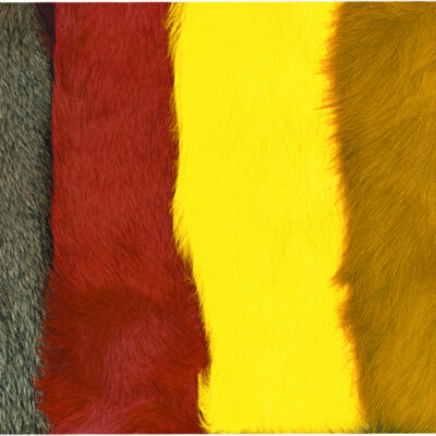 WAPSI - RABBIT -WHOLE SKINS - RS
