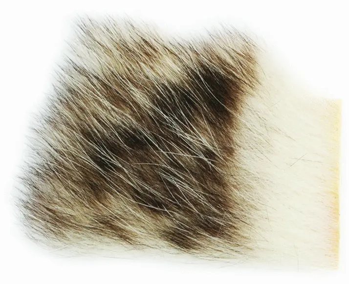 WAPSI - AMERICAN OPOSSUM - DUFOP