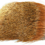 WAPSI - ANTELOPE - DUHANT