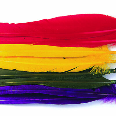 VENIARD - DUCK QUILLS - DWQ