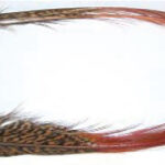 VENIARD - GOLDEN PHEASANT RED SPEARS - GPRS - FAGIANO DORATO