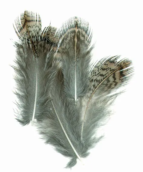 VENIARD - ENGLISH PARTRIDGE BROWN BACK HACKLE GR1 - EPBBH - PERNICE INGLESE