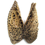 VENIARD - HEN PHEASANT WINGS - HPWW