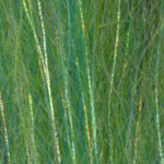 JUST ADD H2O - FLASH N SLINKY – Image 2