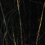 JUST ADD H2O - FLASH N SLINKY – Image 3