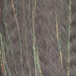 JUST ADD H2O - FLASH N SLINKY – Image 7