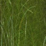 JUST ADD H2O - FLASH N SLINKY – Image 9