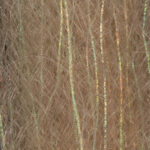JUST ADD H2O - FLASH N SLINKY – Image 13